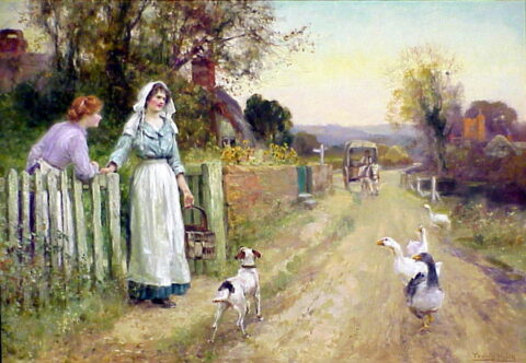 A Summers Day In The Country