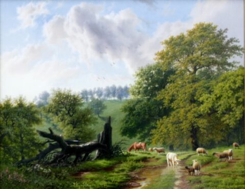 Summer Day, Fawsley, Northants