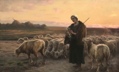 Shepherdess