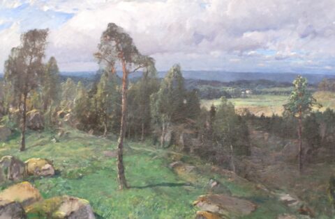 Landscape