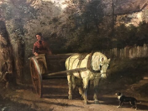 S J Clark - Country Life