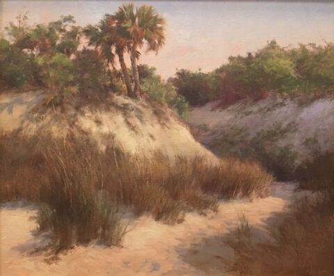 Capes Dunes