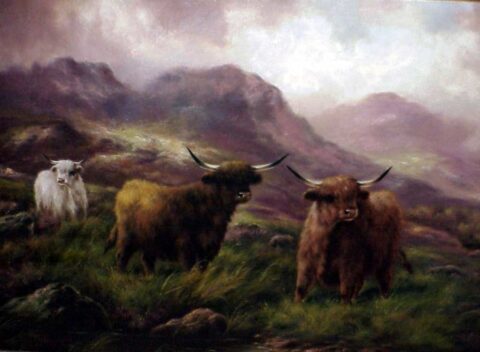 Highland Cattle In A Mountainous Landscape