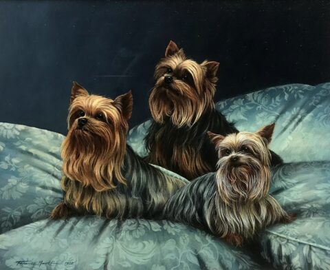 Three Terriers