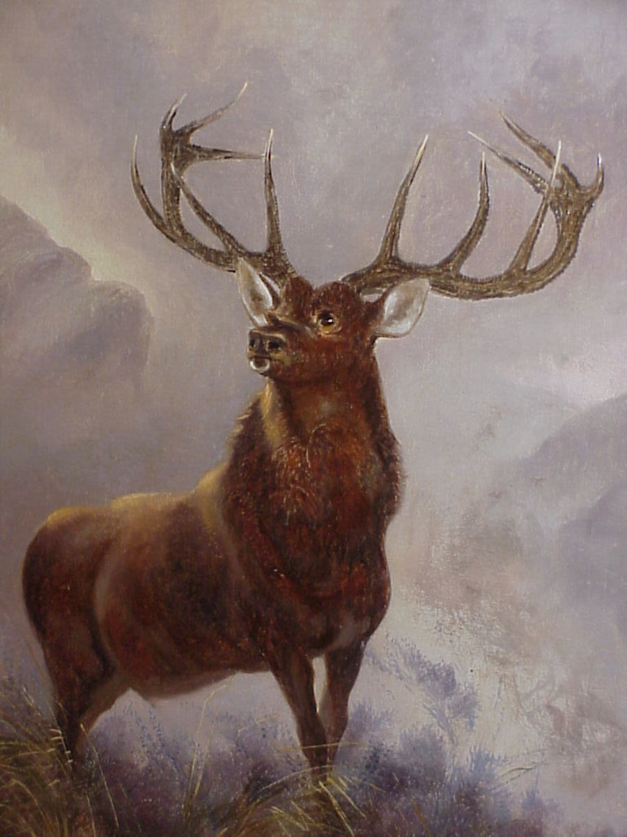 The Monarch Of The Glen