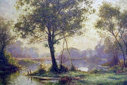 A Wooded Lake