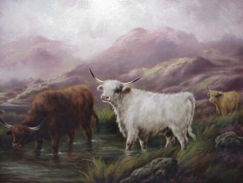 Highland Cattle In A Mountainous Landscape