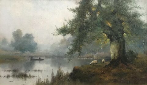 A Summer Morning Burnham Beeches