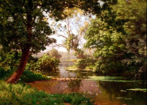 Paysage Avec Une Rivière