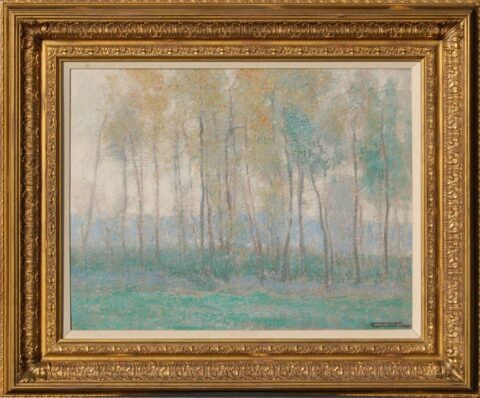 Brume D' Automne