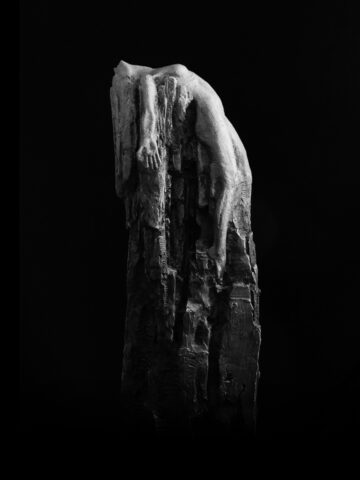 The Emergence