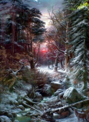 Deer In The Black Forest At Sunset