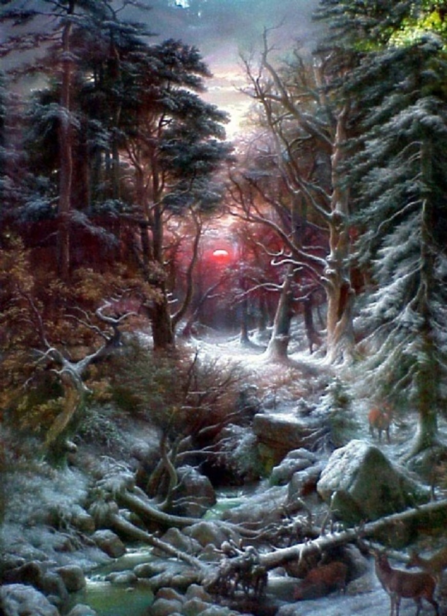 Deer In The Black Forest At Sunset