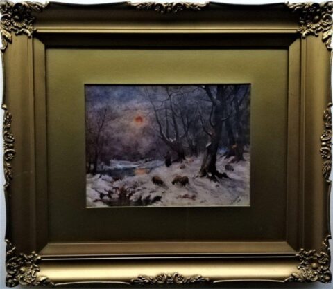 Sheep in snow covered forest