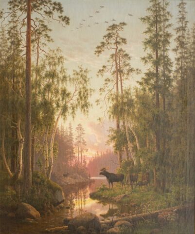 Moose at Dusk