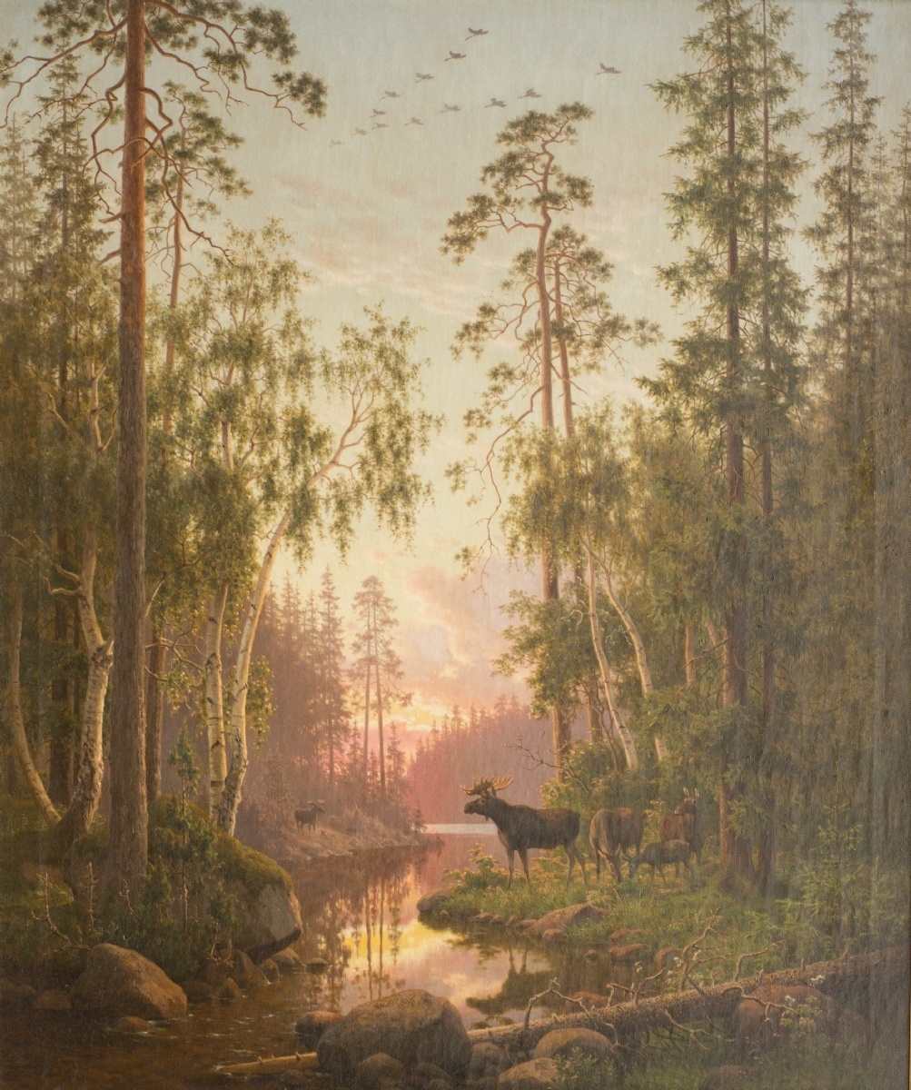 Moose at Dusk