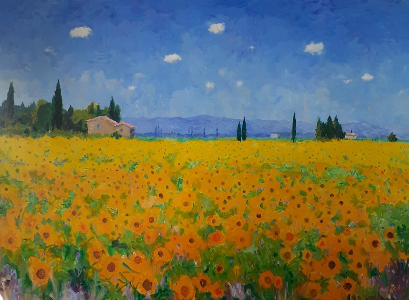 Sunflowers Provence