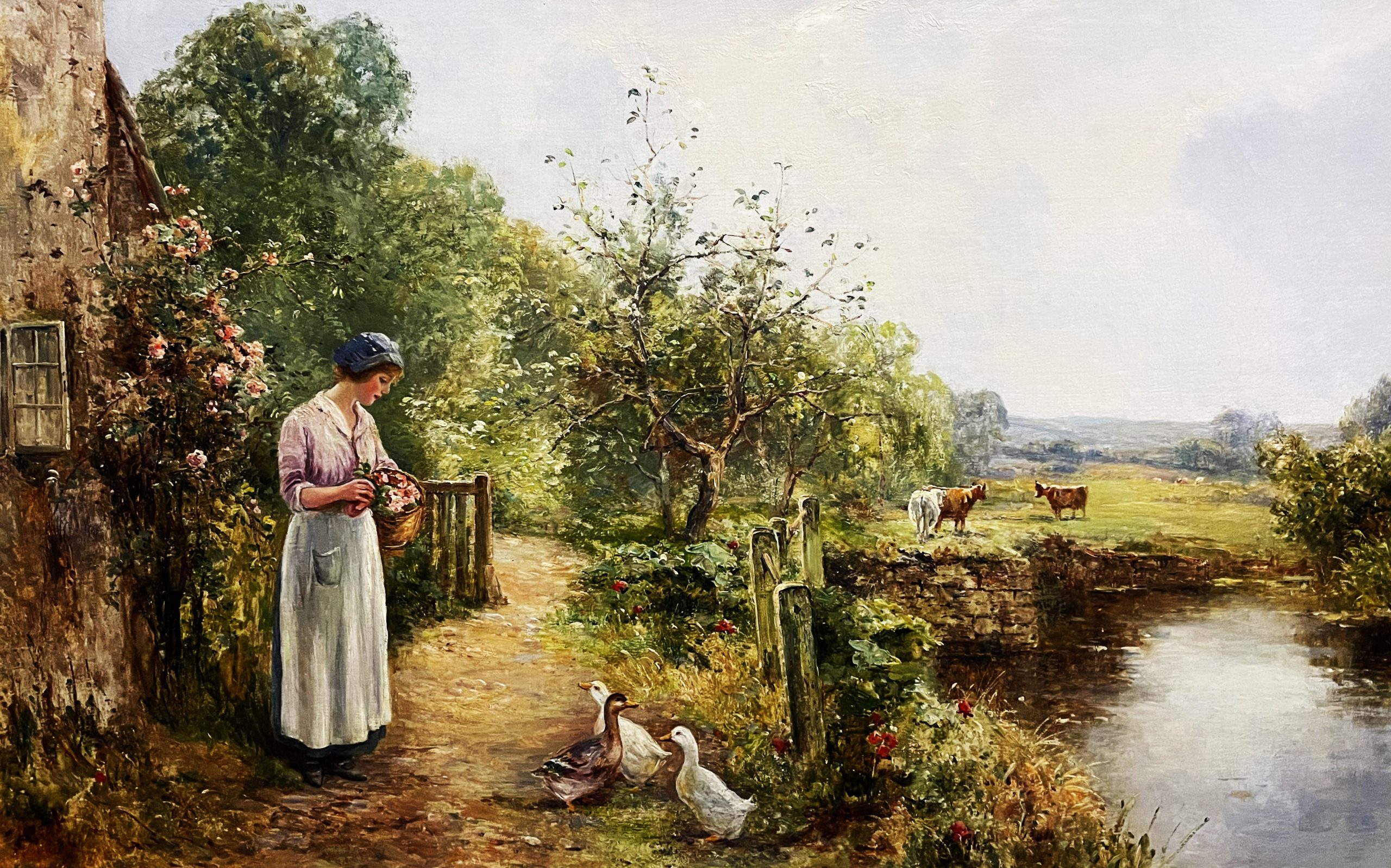 Feeding the Ducks
