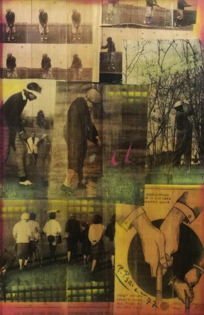 GOLF PROS NO 3455. FRUITWOOD CONCEPT. ARGENTINA ONLY.